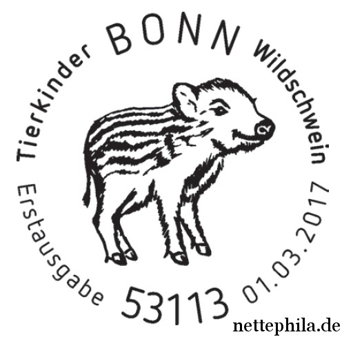 03_Wildschwein_Bonn